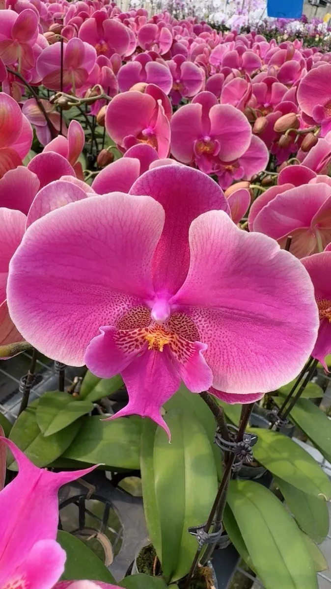 b6037a19c1e0193dd5507e65f048770